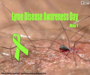 Puzzle Journée mondiale de la maladie de Lyme