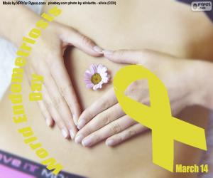 Puzzle Journée mondiale de l’endométriose