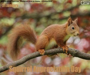 Puzzle Journée mondiale de l’écureuil