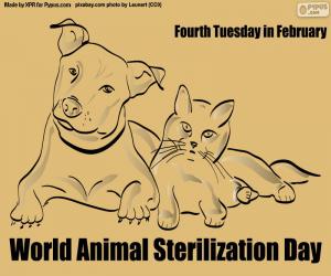 Puzzle Journée mondiale de stérilisation animale