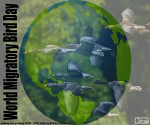 Puzzle Journée Mondiale des Oiseaux Migrateurs