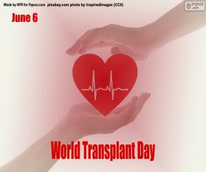 Puzzle Journée mondiale des patients transplantés