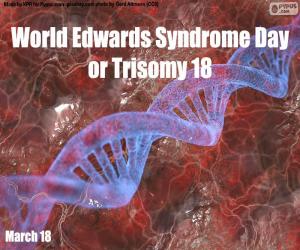 Puzzle Journée mondiale du syndrome d’Edwards ou trisomie 18