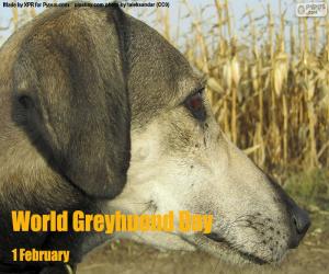 Puzzle Journée mondiale greyhound