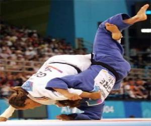 Puzzle Judo - Deux judoka pratiquant