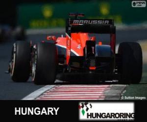 Puzzle Jules Bianchi - Marussia - Hungaroring, 2013