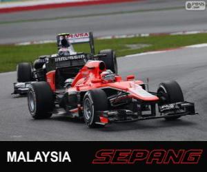 Puzzle Jules Bianchi - Marussia - Sepang 2013