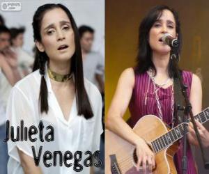 Puzzle Julieta Venegas, est un chanteur mexicain