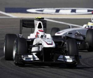 Puzzle Kamui Kobayashi - BMW Sauber - Bahreïn 2010