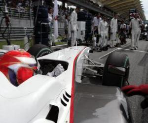 Puzzle Kamui Kobayashi - BMW Sauber - Sepang 2010