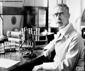 Puzzle Karl Landsteiner