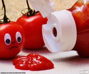 Puzzle Ketchup