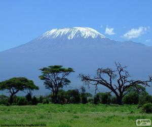 Puzzle Kilimanjaro, Tanzanie