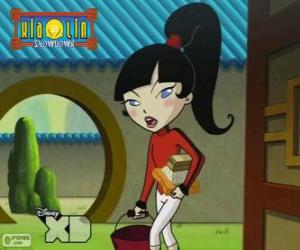 Puzzle Kimiko Tohomiko, Xiaolin Dragon de Feu, la seule fille dans l'équipe
