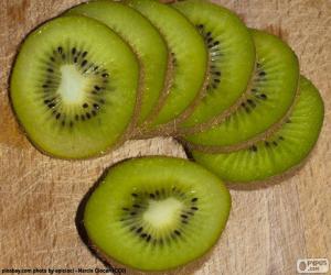 Puzzle Kiwi