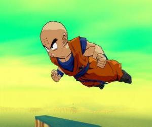 Puzzle Krillin est le partenaire de Goku et son meilleur ami.