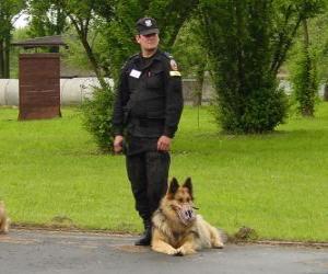 Puzzle L'agent de police avec son chien policier