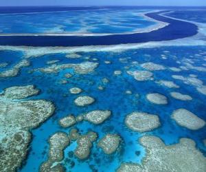 Puzzle La Grande barrière de corail, les récifs coralliens à travers le plus grand monde. Australie.