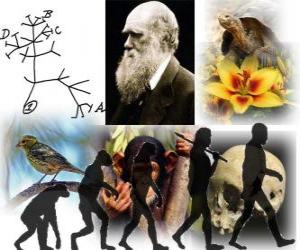 Puzzle La Journée  Darwin , Charles Darwin est né le 12 février 1809. Arbre de Darwin, le premier plan de son théorie de l'évolution