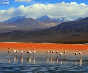 Puzzle La Laguna Colorada, Bolivie