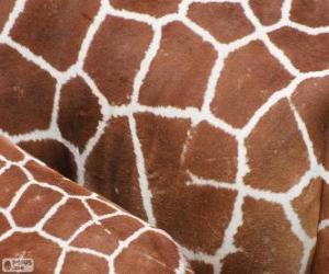 Puzzle La peau des girafes