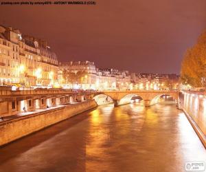 Puzzle La Seine dans la nuit, Paris