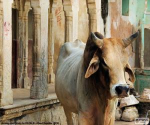 Puzzle La vache Sainte, Inde