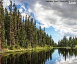 Puzzle Lac Irene, Etats-Unis