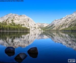 Puzzle Lac Tenaya, États-Unis