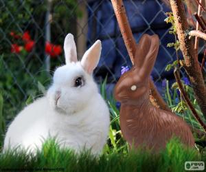 Puzzle Lapin blanc et au chocolat