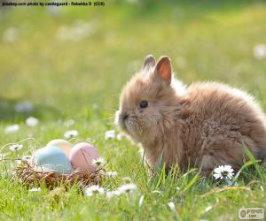 Puzzle Lapin et oeufs de Pâques