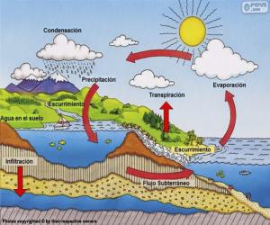 Puzzle Le cycle de l'eau (es)