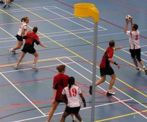 Puzzle Le korfbal, également appelé balonkorf, est un sport d'équipe joue entre deux équipes qui cherchent à introduire un ballon dans un panier.