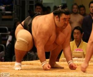 Puzzle Le lutteur de sumo prête au combat
