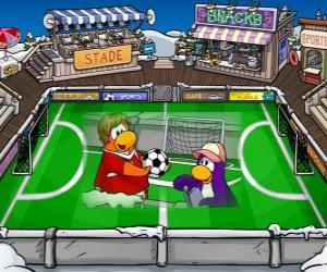 Puzzle Le match de football Club Penguin