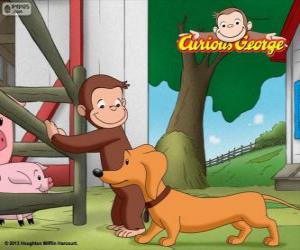 Puzzle Le singe George et Hundley chien saucisse