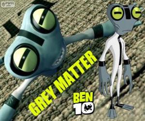 Puzzle Le Tétard Gris ou Grey Matter, Ben 10