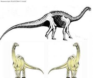 Puzzle Le Zizhongosaurus était un sauropode primitif, Il mesurait 3,4 mètres de haut pour 9,1 de long