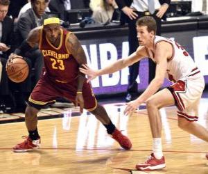 Puzzle Lebron James jouant un jeu de basket-ball