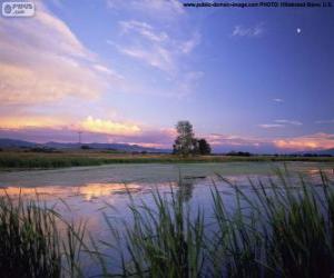 Puzzle Lee Metcalf National Park, Montana, Etats-Unis