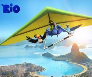 Puzzle Les aras Blu, toucan Rafael Jewel et un deltaplane survolant la ville de Rio de Janeiro