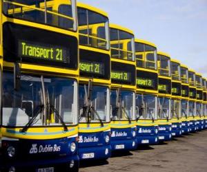 Puzzle Les bus de Dublin dans le parking