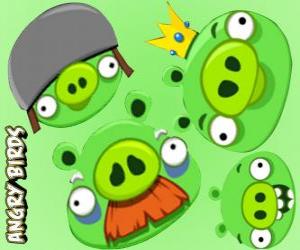 Puzzle Les porcs de Angry Birds