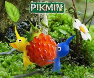 Puzzle Les êtres étranges Pikmin