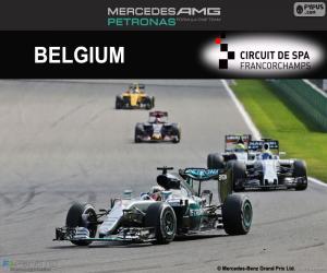 Puzzle Lewis Hamilton, GP Belgique 2016