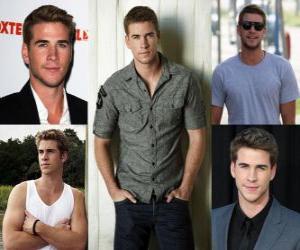 Puzzle Liam Hemsworth est un acteur australien