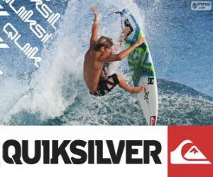 Puzzle Logo Quiksilver