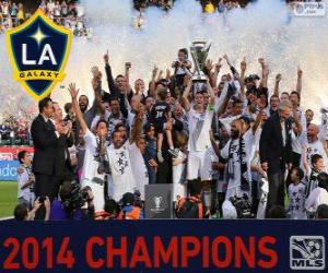 Puzzle Los Angeles Galaxy, champion MLS 2014