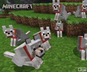 Puzzle Loups de Minecraft