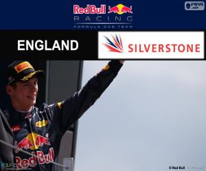 Puzzle M. Verstappen, GP G-Bretagne 2016